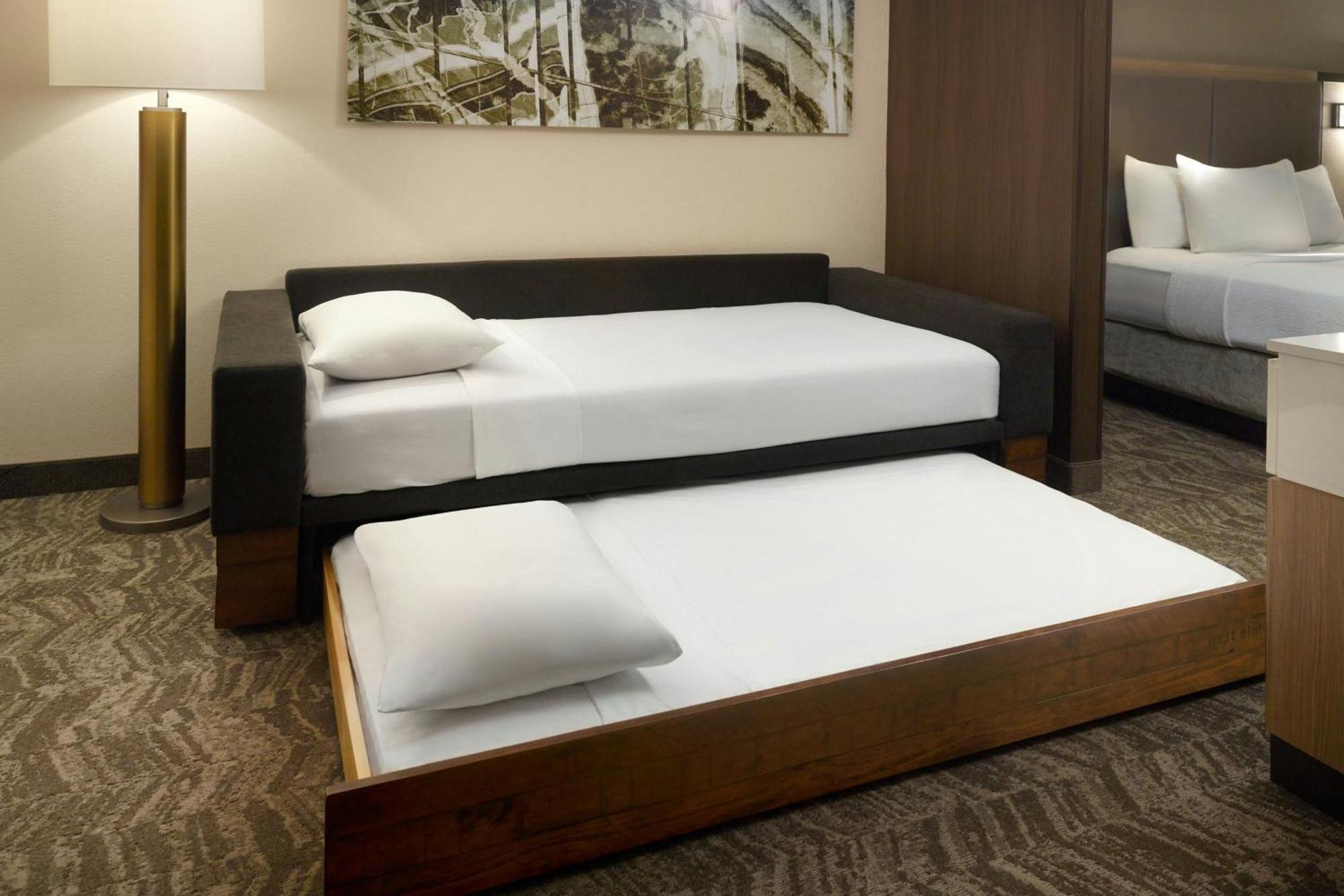 Springhill Suites By Marriott Atlanta Six Flags Lithia Springs Exterior foto